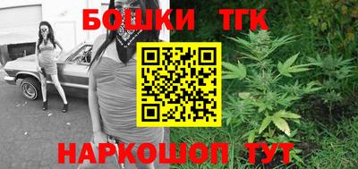 МДПВ Лесосибирск