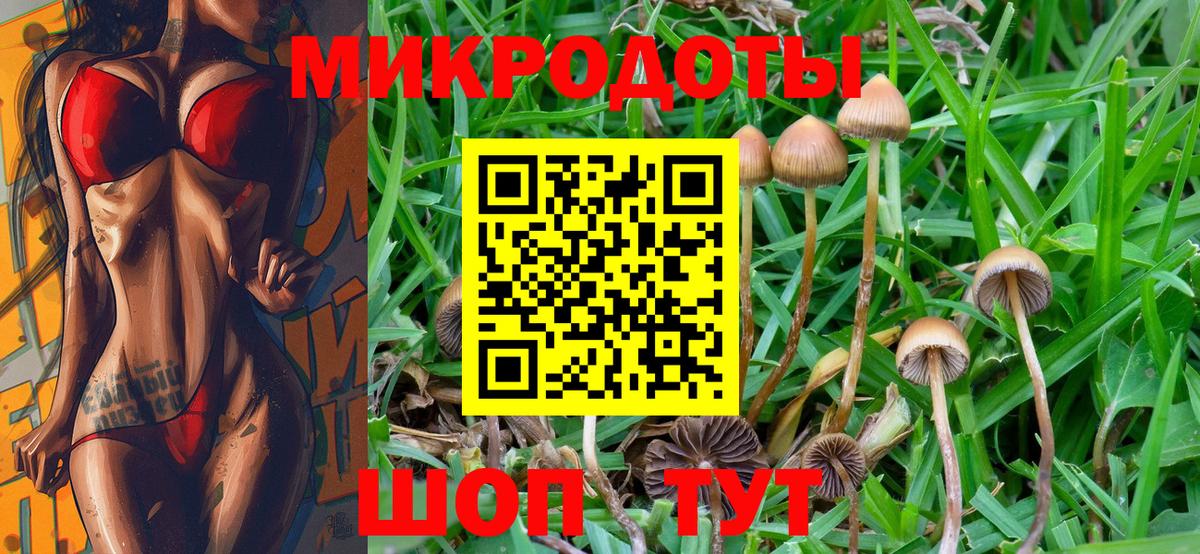 Галлюциногенные грибы Psilocybe  Псилоцибиновые грибы мухоморы  Вход с VPN  Знаменск 